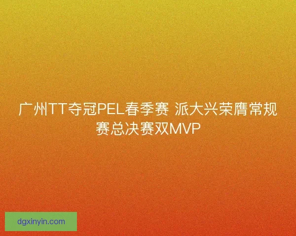 广州TT夺冠PEL春季赛 派大兴荣膺常规赛总决赛双MVP